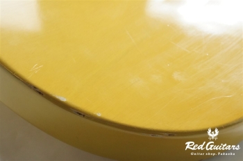 Portrait Line No.1 Special - TV Yellow